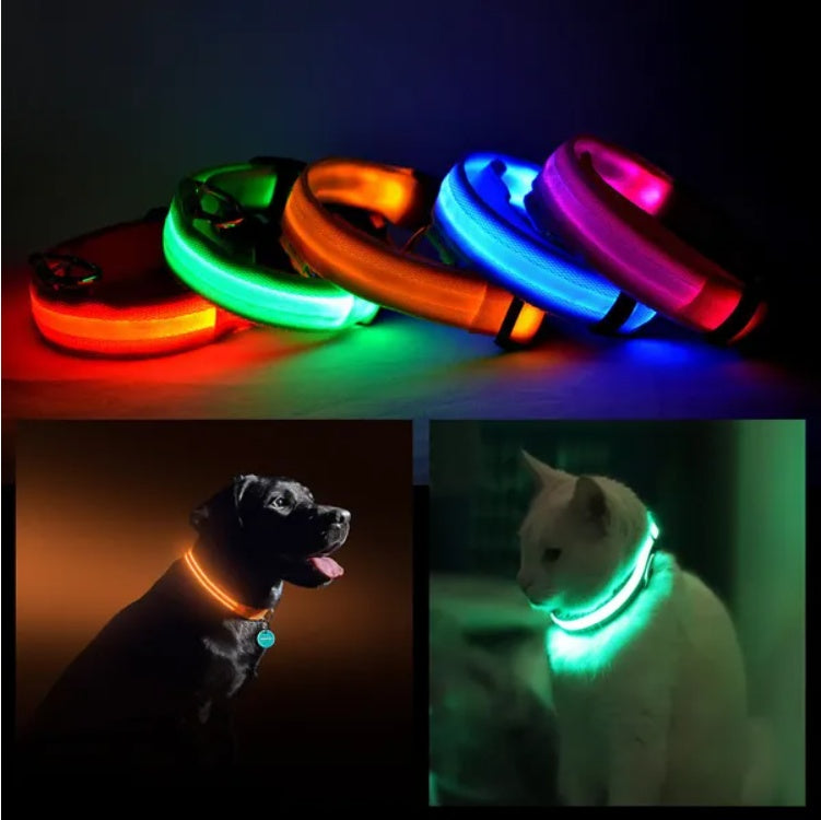 Collar de seguridad LED para mascotas estilo halo
