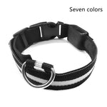 GlowPaws Nylon LED Dog Collar - Adjustable Luminous Leash for Night Safety & Visibility