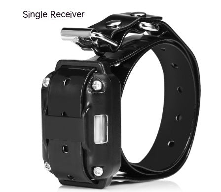 PawTech Remote Control Dog Training Collar with Adjustable Sensitivity & Vibration Mode