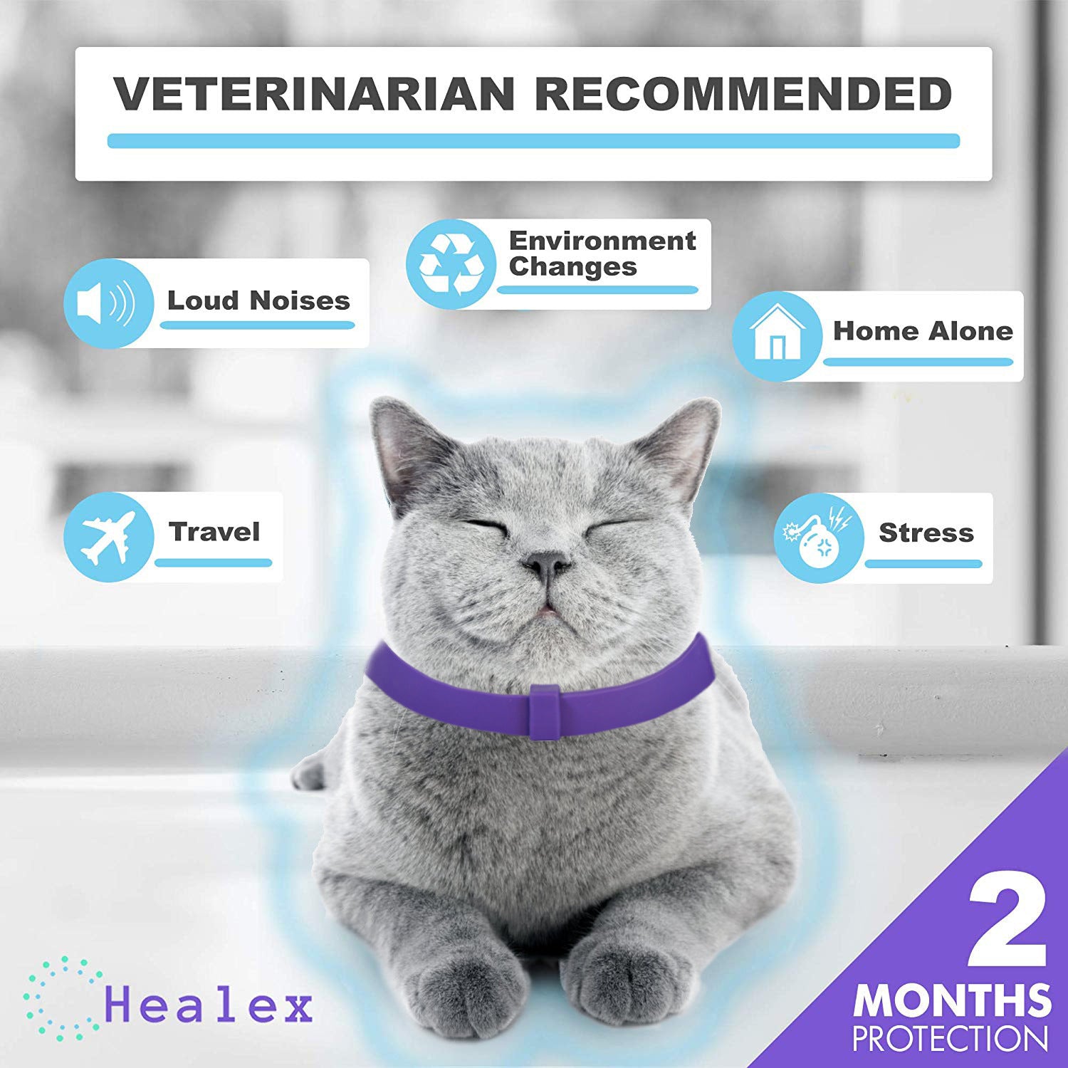 CalmPaws Comfort Collar - Anxiety-Relief for Cats