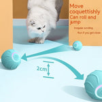 Interactive cat rolling balls in teal with white cat crouching to pounce