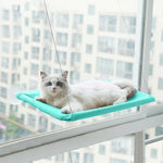 Cat window hammock perch with suction cups, teal cushion, white cat lying down