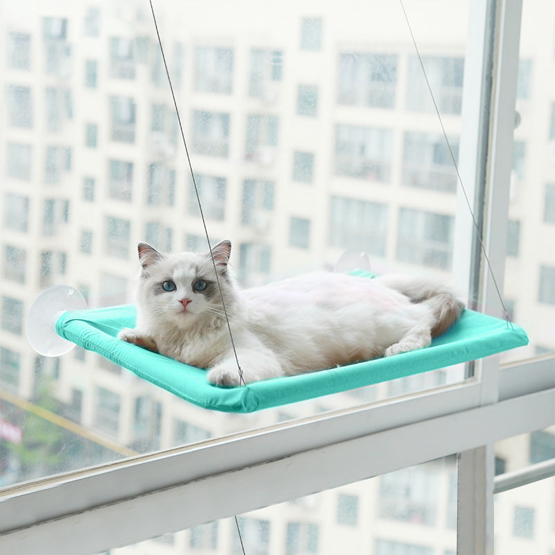 Cat window hammock perch with suction cups, teal cushion, white cat lying down