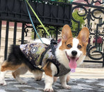 Hooded Winter Dog Coat for Chihuahua, Pug & Small Dogs