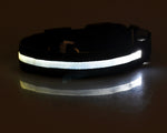 GlowPaws Nylon LED Dog Collar - Adjustable Luminous Leash for Night Safety & Visibility