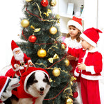 Santa Claus Riding Deer Dog Christmas Costume