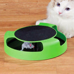 Cat interactive toy with green base and black top pad; white cat beside it