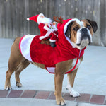 Santa Claus Riding Deer Dog Christmas Costume