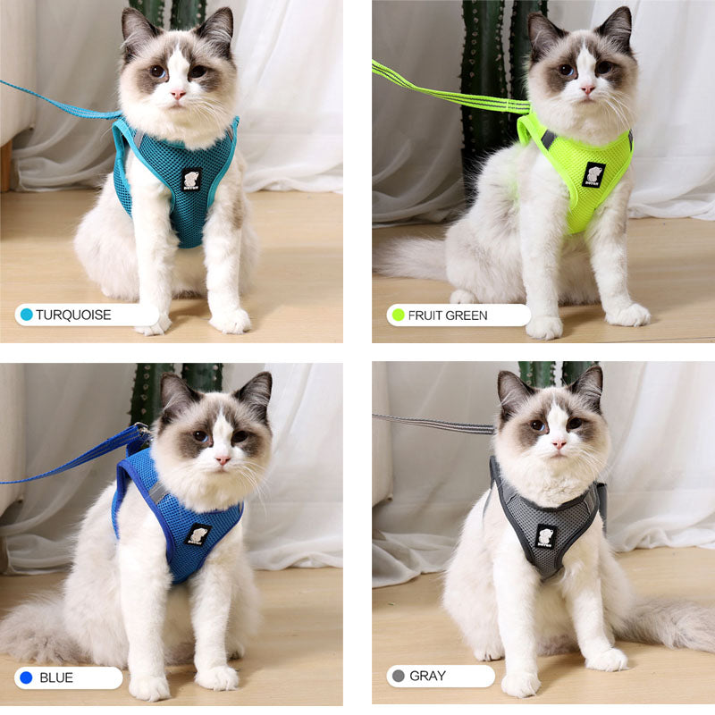 PawGuard Anti-Strike Cat Harness - Ultimate Traction for Adventurous Cats