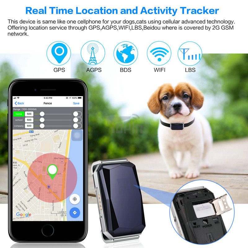 Pet GPS tracker promotional graphic with tracker, smartphone map, and pet on outdoor scene