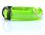 GlowPaws Nylon LED Dog Collar - Adjustable Luminous Leash for Night Safety & Visibility