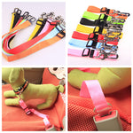 Colorful adjustable dog car seat belt straps with metal buckles and hooks