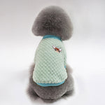 Trendy Pet Clothes – Stylish Dog & Cat Fashion