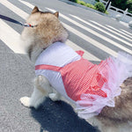 Princess Dog Costume for Labrador & Golden Retriever