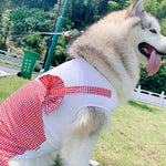 Princess Dog Costume for Labrador & Golden Retriever
