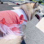 Princess Dog Costume for Labrador & Golden Retriever