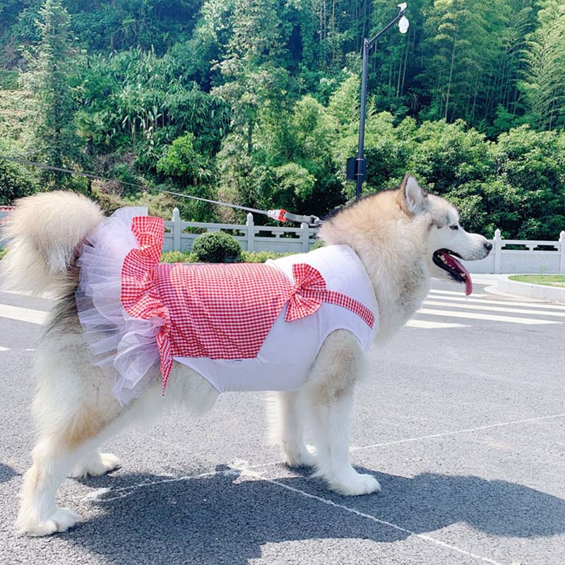 Princess Dog Costume for Labrador & Golden Retriever