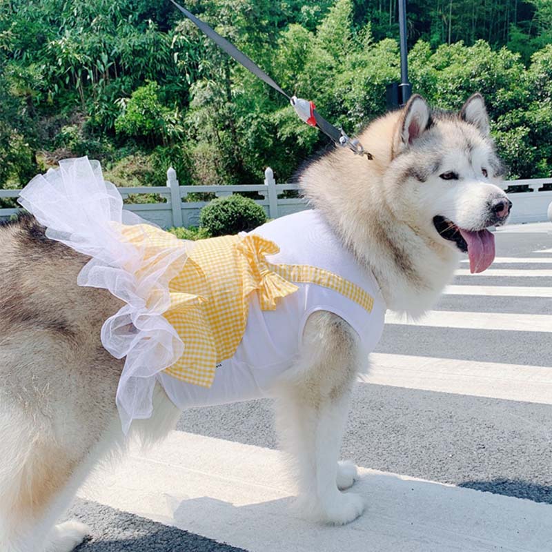Princess Dog Costume for Labrador & Golden Retriever