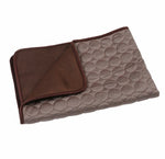 ChillPaws Ice Silk Summer Mat - Ultra-Cooling Comfort for Happy Pets