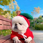 CutePaws Cozy Fleece Hoodies for Small Dogs - Stylish Winter Warmth for Frenchies & Chihuahuas