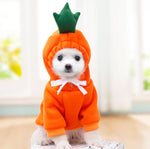 CutePaws Cozy Fleece Hoodies for Small Dogs - Stylish Winter Warmth for Frenchies & Chihuahuas