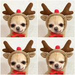 CutePaws Cozy Fleece Hoodies for Small Dogs - Stylish Winter Warmth for Frenchies & Chihuahuas