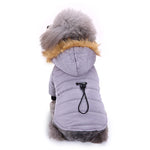Winter Dog & Cat Warm Clothing – Pet Cold Weather Outfit