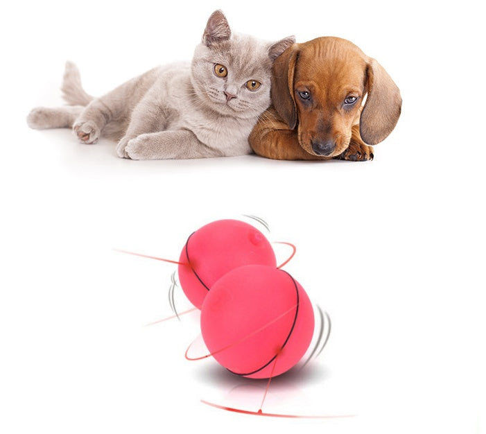 LED rolling cat toy ball in red with black seam and spinning laser effect