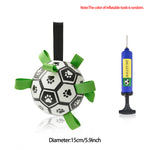 Inflatable dog soccer ball toy with paw prints, green straps, includes blue pump; 15cm