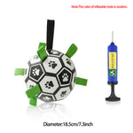 Inflatable dog soccer ball toy with paw prints, green straps, includes blue pump; 18.5cm