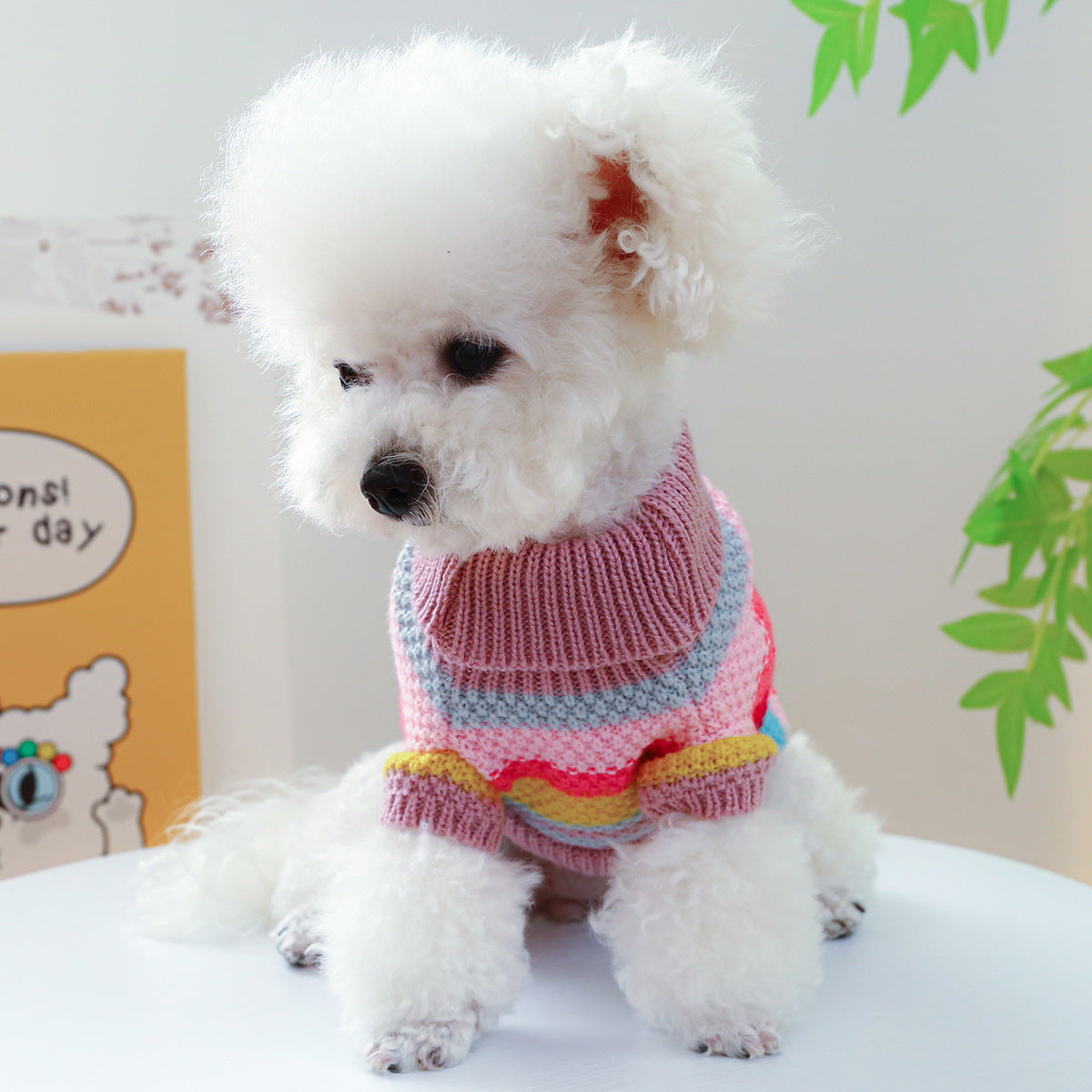 Colorful Stripes Pet Ring Sweater - Soft Comfort for Your Furry Friend