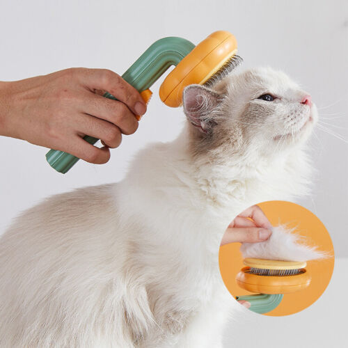 Pet self-cleaning slicker brush with orange pumpkin-style head and metal bristles