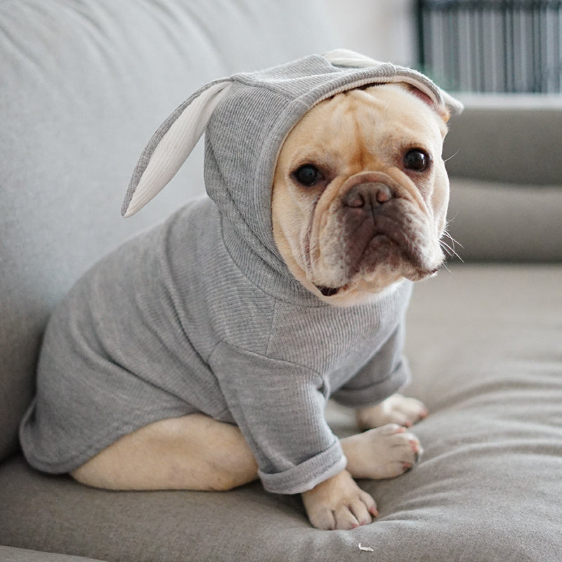 Vêtements pour animaux de compagnie pour chiens Vêtements de printemps et d'automne