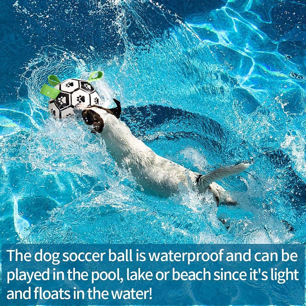 Inflatable dog soccer ball toy with paw print design and green tabs in water
