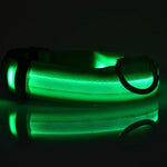GlowPaws Nylon LED Dog Collar - Adjustable Luminous Leash for Night Safety & Visibility
