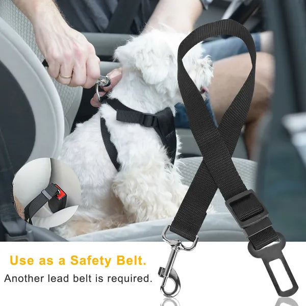 Pet dog seat belt leash harness attached in car with adjustable black webbing