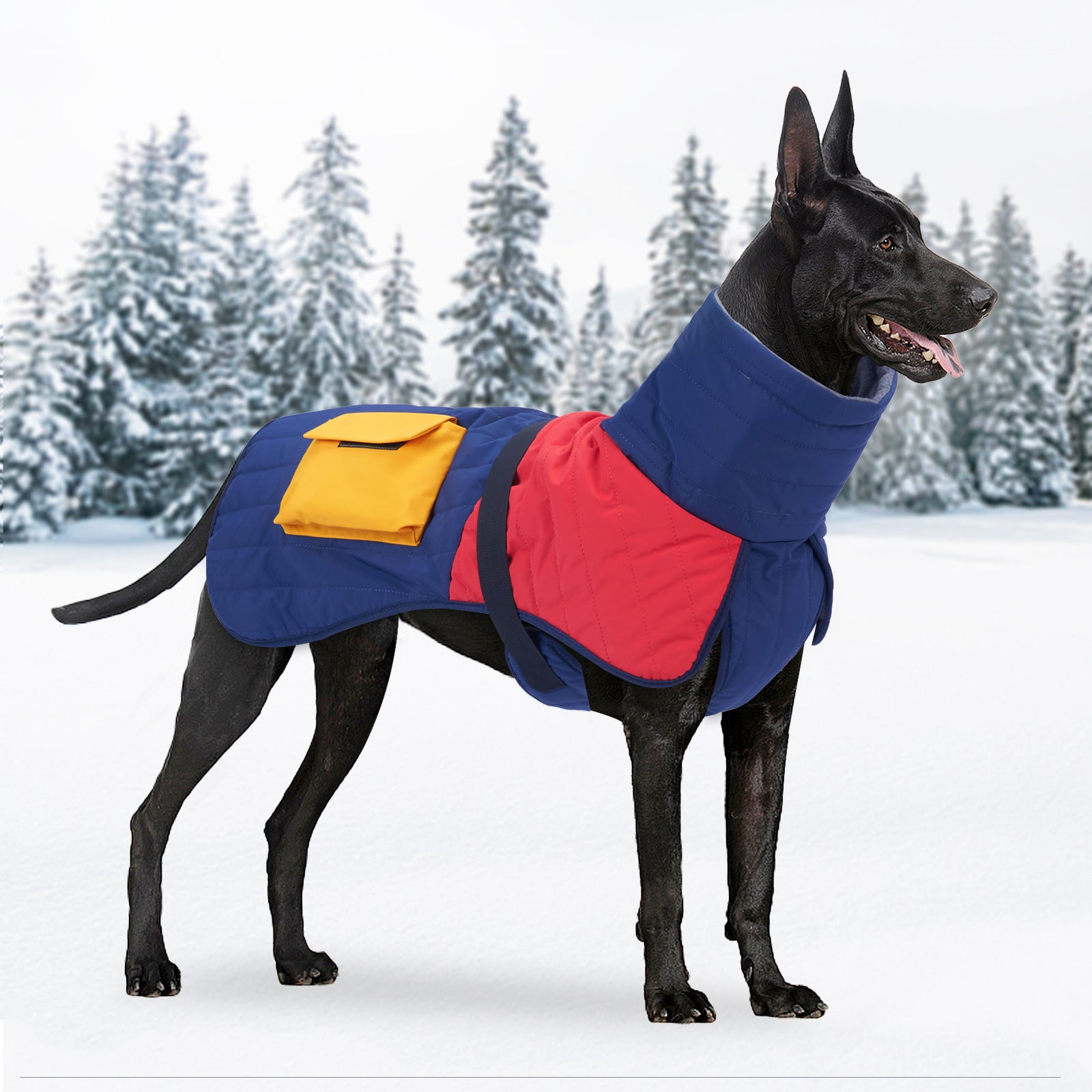 Thickened Padded Dog Winter Coat – Warm Pet Clothes