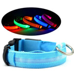 Light blue LED pet safety collar with metal D-ring and buckle, glowing halo strip