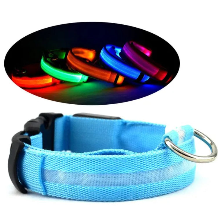 Light blue LED pet safety collar with metal D-ring and buckle, glowing halo strip