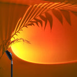 Live Broadcast Background Atmosphere Lights Sunset Sunset Lights