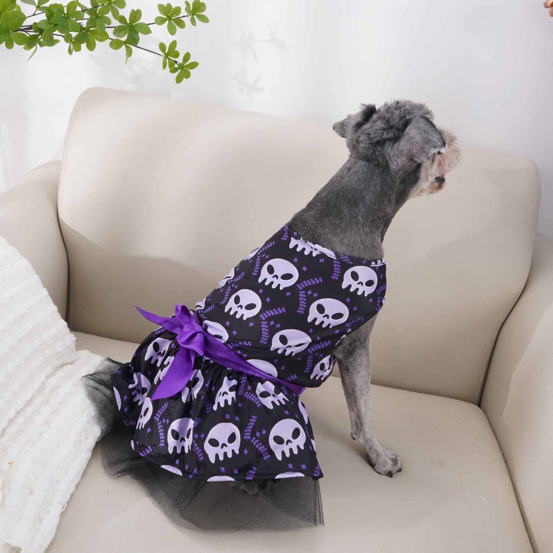 Halloween Dog Clothes – Spooky Pet Costume Outfit