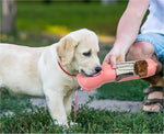 Pink portable pet water bottle feeder with cup, offered to a dog outdoors