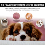 PetSafe Lice & Tick Spray - Powerful Flea & Pest Remover for Dogs & Cats