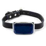 Pet GPS tracker collar front view: dark strap and blue display module