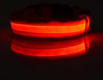 GlowPaws Nylon LED Dog Collar - Adjustable Luminous Leash for Night Safety & Visibility