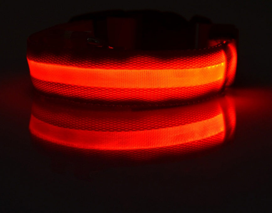GlowPaws Nylon LED Dog Collar - Adjustable Luminous Leash for Night Safety & Visibility