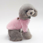 Trendy Pet Clothes – Stylish Dog & Cat Fashion