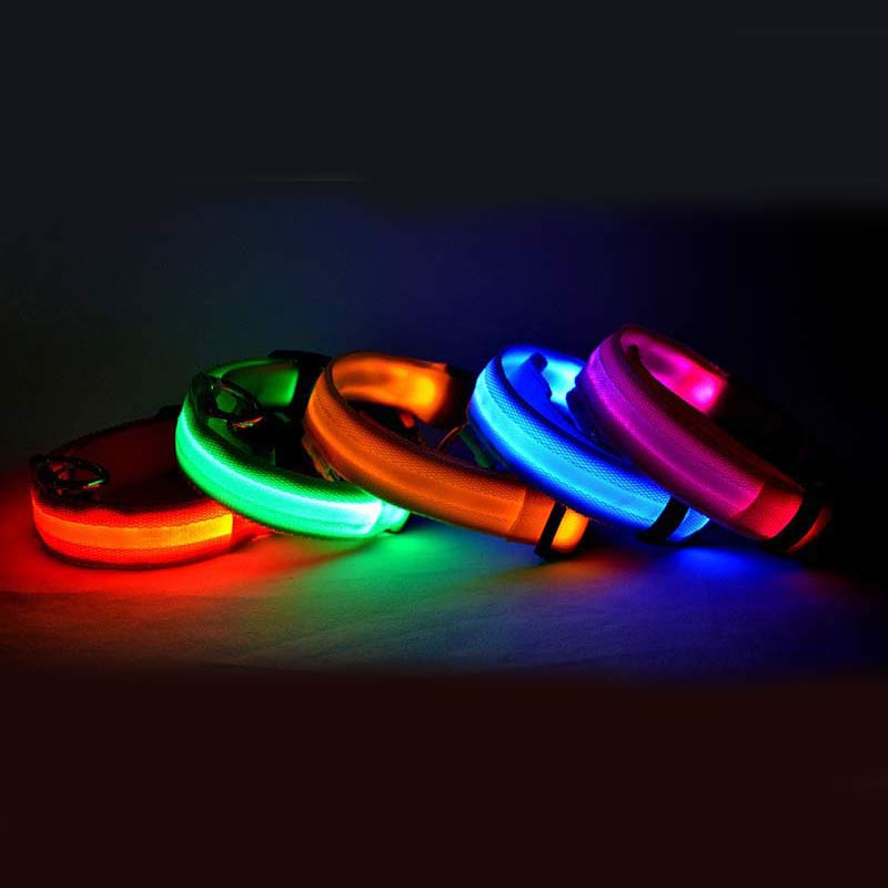 Collar de nailon LED GlowPaws para perros - Correa luminosa ajustable para seguridad y visibilidad nocturna