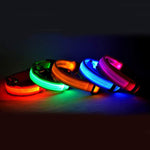 GlowPaws Nylon LED Dog Collar - Adjustable Luminous Leash for Night Safety & Visibility