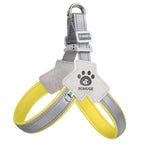 Pawsitive Vibes Adjustable No-Pull Pet Harness & Leash Set – Comfortable, Reflective, Easy Control for Training & Walking